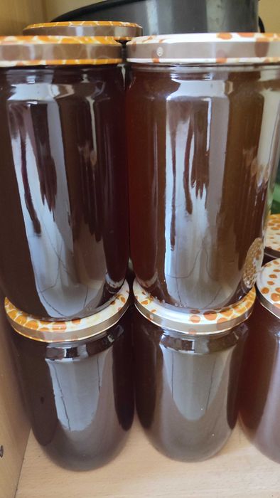 Miód wielokwiatowy, lipowy, leśny oraz rzepakowy z własnych pasiek