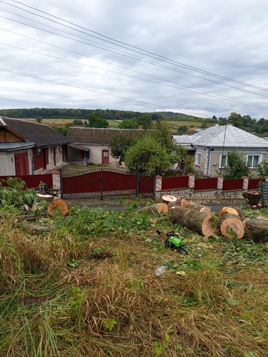 Косіння трави, покіс трави рубка дров, порізка патиків. Зачистка