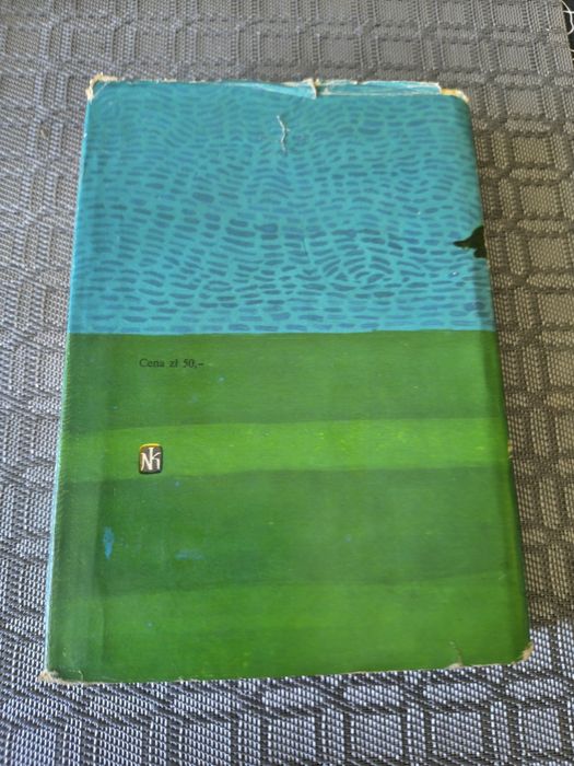 302. Książka dolina tęczy  rilla z złotego brzegu