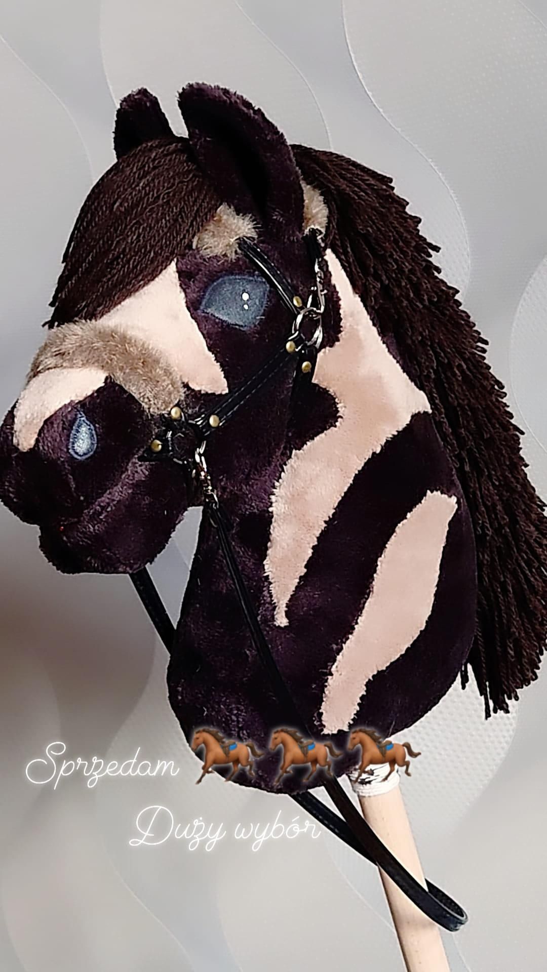Hobby horse konik