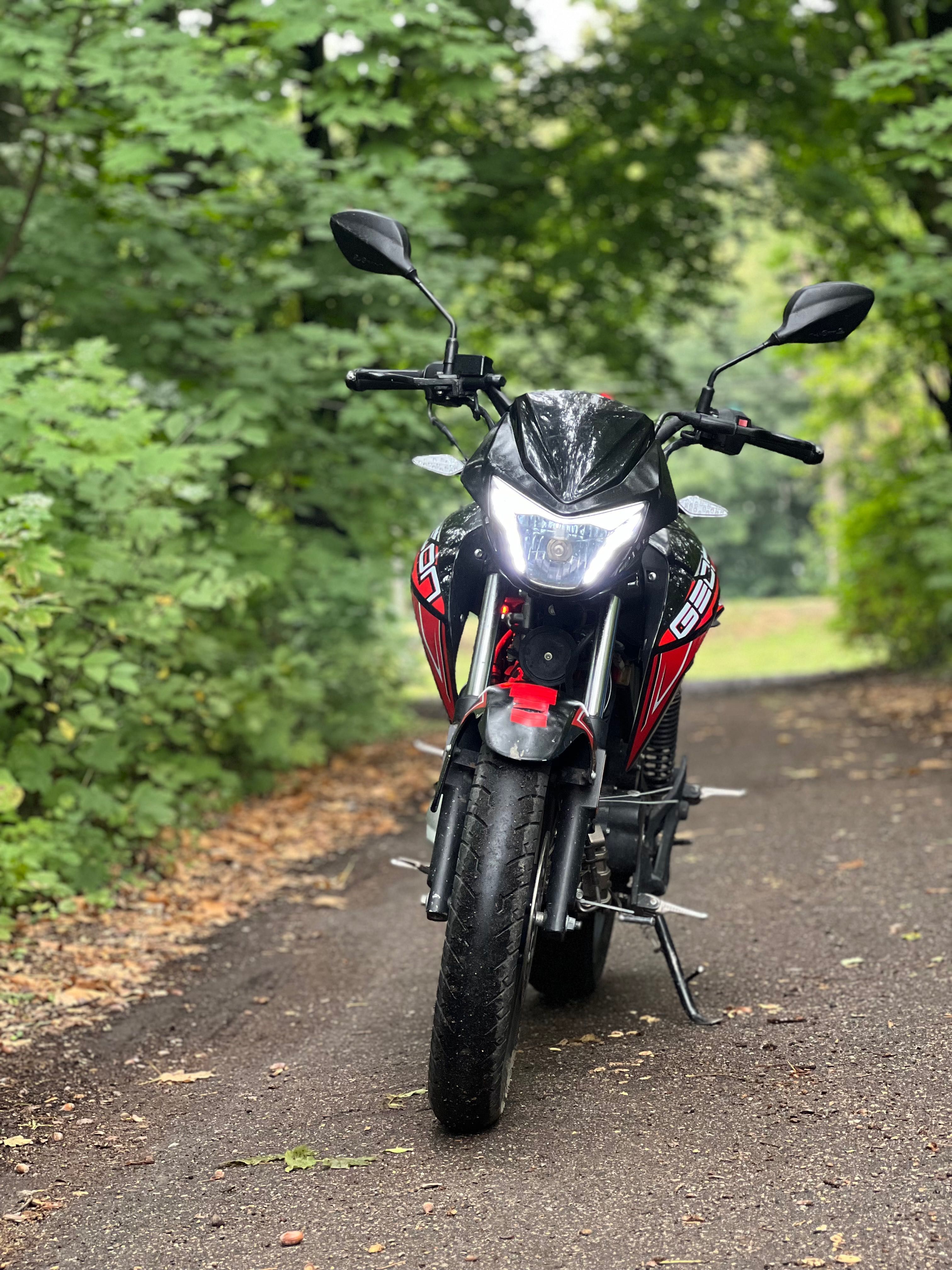 Geon pantera n200