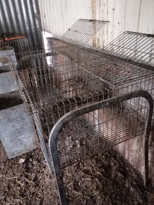 Coelheira 2 compartimentos