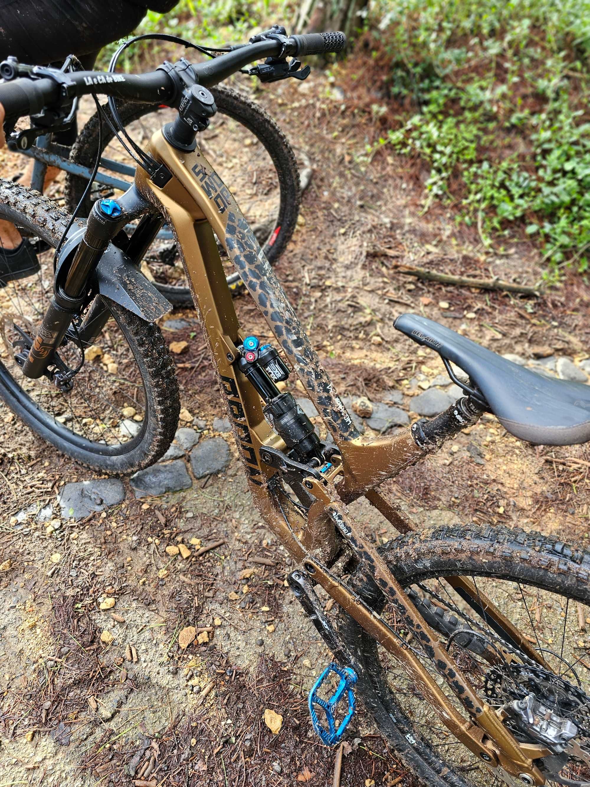 Radon Swoop 10.0 (M)
