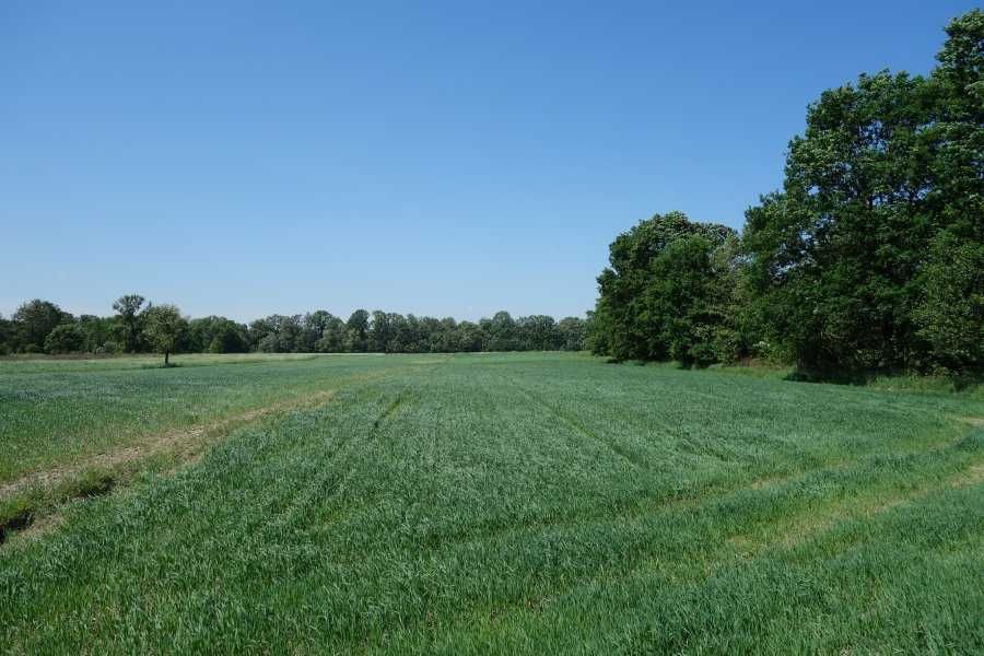 Skoczów Ochaby 57ar pod kamping altanke strzelnice może być pod staw