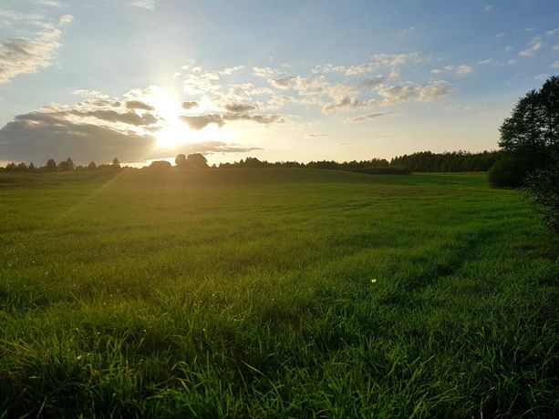 Atrakcyjna działka 5,4 ha z war. zab. i pozwoleniem