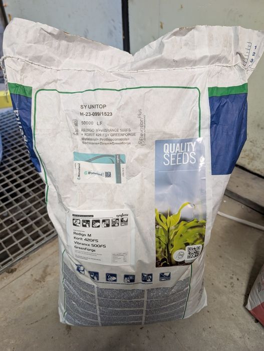 Ziarna kukurydzy syngenta