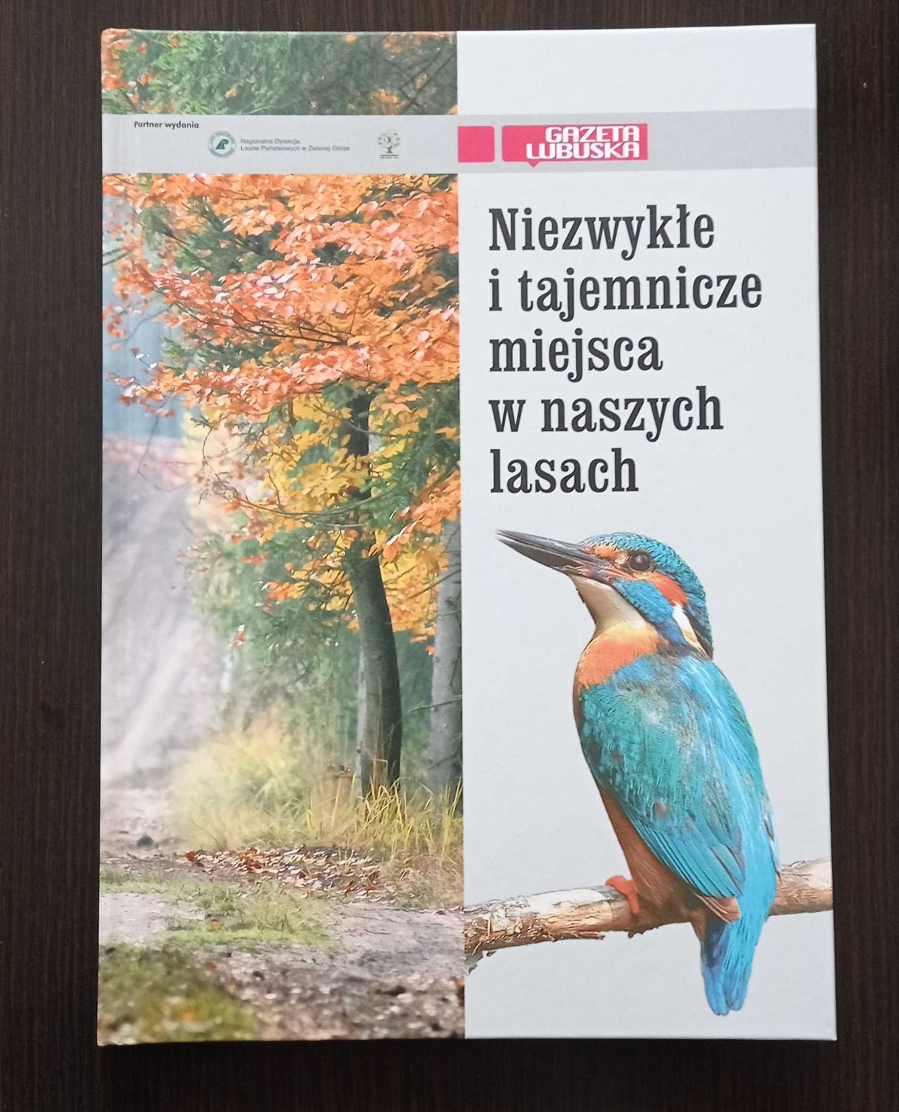 niezwykłe i tajemnicze miejsca w naszych lasach