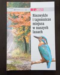 niezwykłe i tajemnicze miejsca w naszych lasach