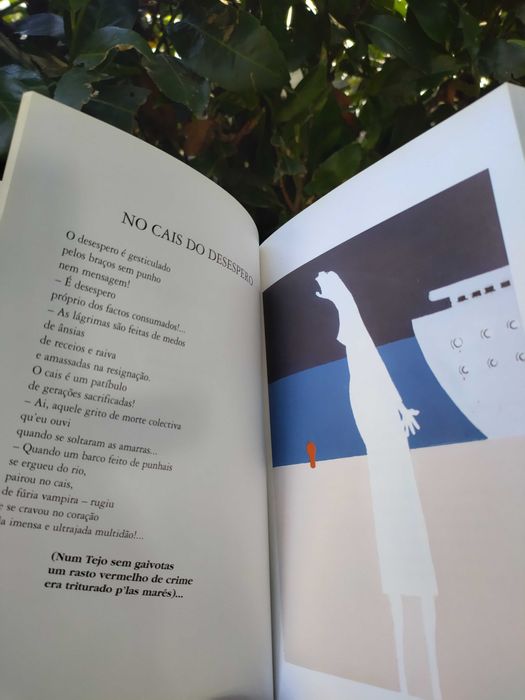 Trinta facadas de raiva (António Calvinho)