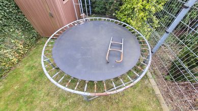 Trampolina 250cm