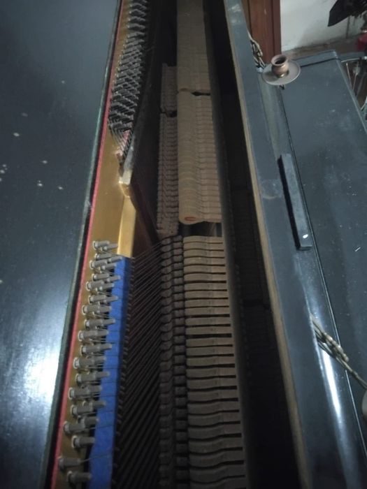 Piano à venda da Gebrüder Zimmermann Leipzig
Piano Gebrüder Zimmermann