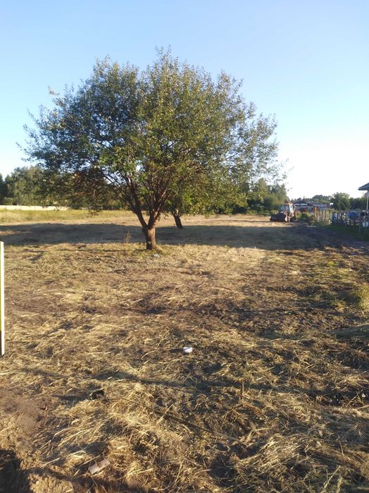 Kompleksowe czyszczenie terenu działek przygotowanie pod budowę