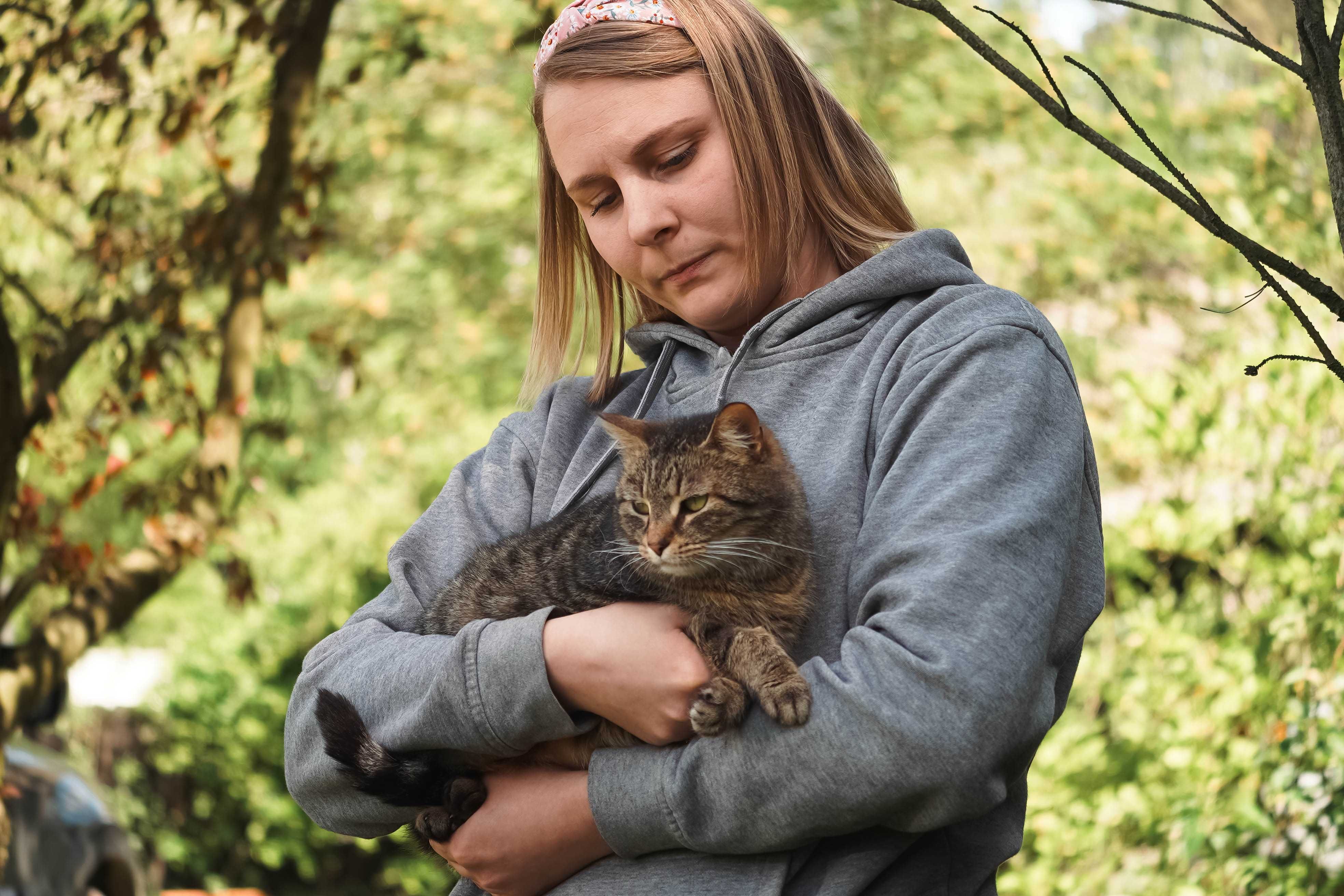 Lusia - piękna bura kotka do adopcji