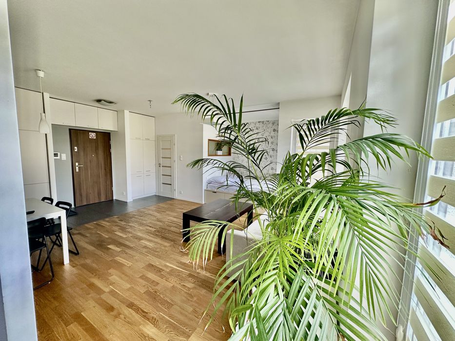 Wynajmę apartament ul.Piotrkowska 189A-najlepsza lokalizacja (Centrum)