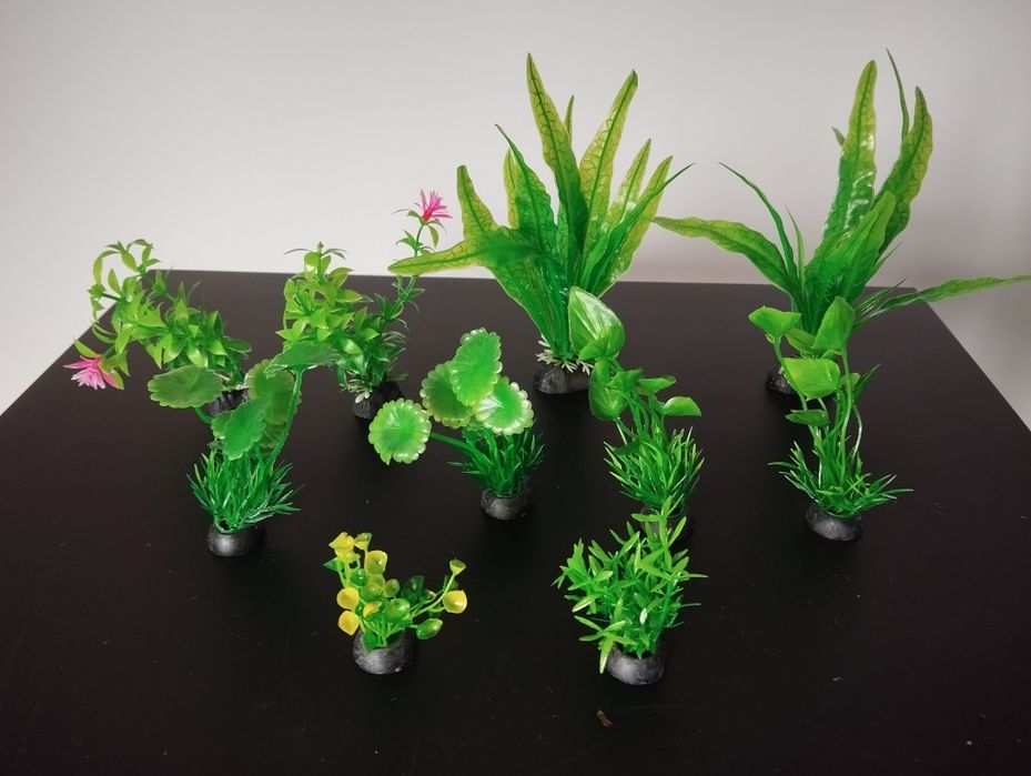 Rośliny akwariowe zestaw nowe