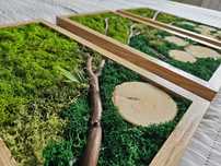 3pak obraz handmade 3D żywy mech natura
