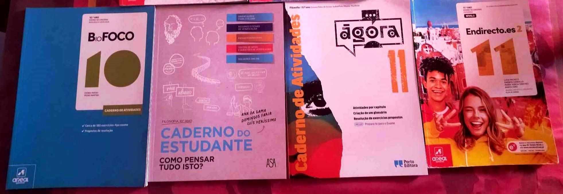 Livros escolares Secundário  - Excelente estado e baratos