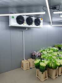 Агрегаты, воздухоохладители для цветочных складов