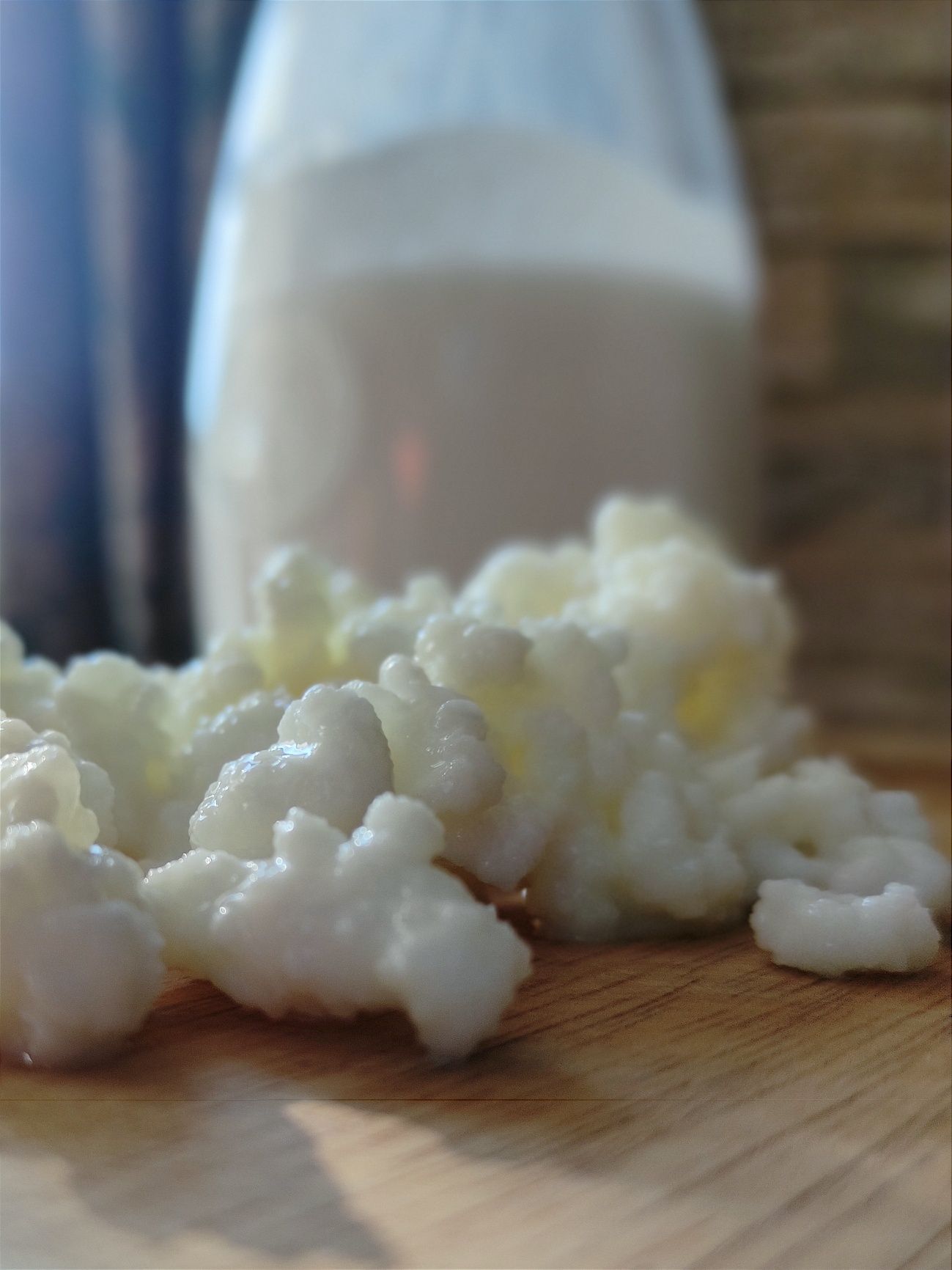 Kefir \ Quefir \ kephir de Leite