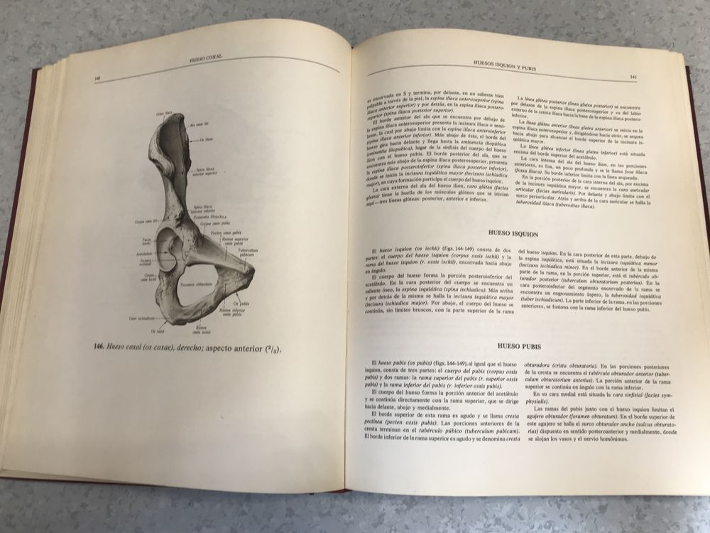 Atlas de Anatomia Humana Sinelnikov I tom Anatomia