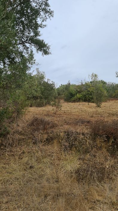 Terreno em valhascos Sardoal