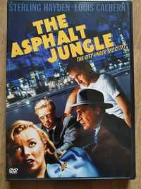 raro dvd: John Huston "The asphalt jungle"