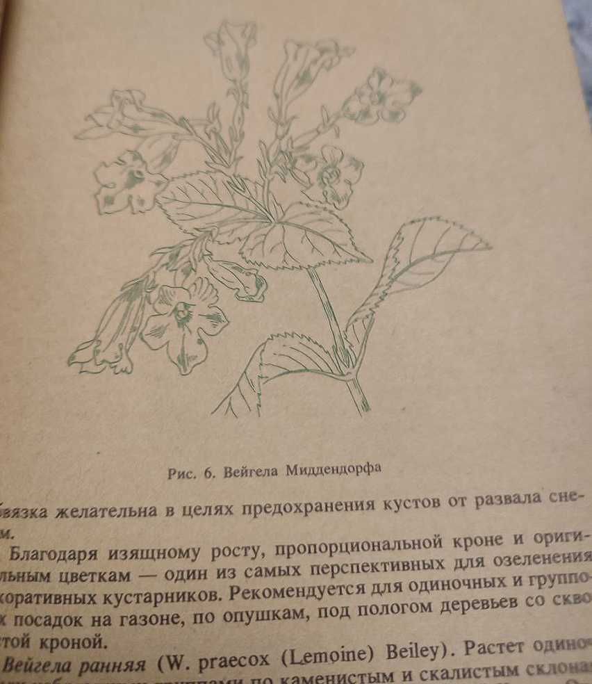 Книга «Деревья и кустарники для люб. садоводства и озеленения»