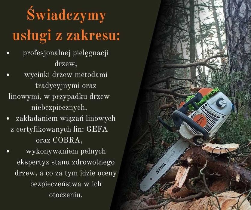 Wycinka i pielęgnacja drzew, inwentaryzacja przyrodnicza