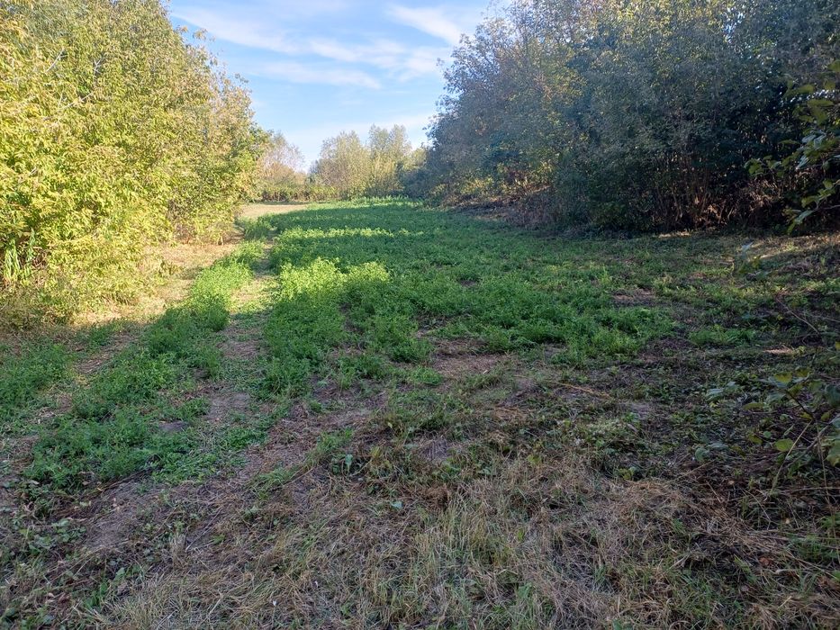 Будинок з земельною ділянкою с Івки