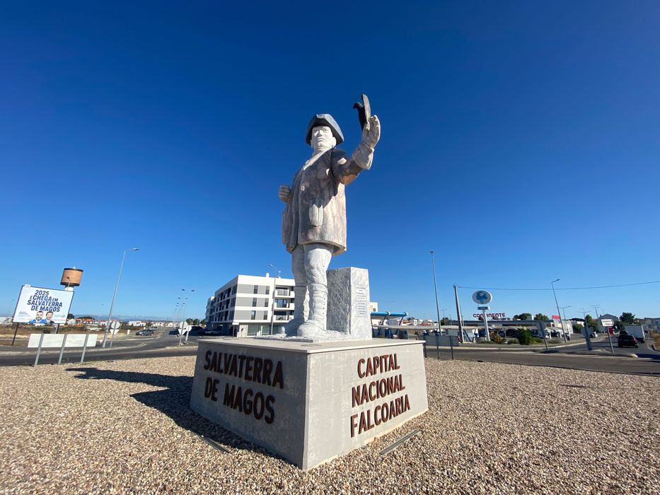 Terreno urbano Salvaterra de Magos