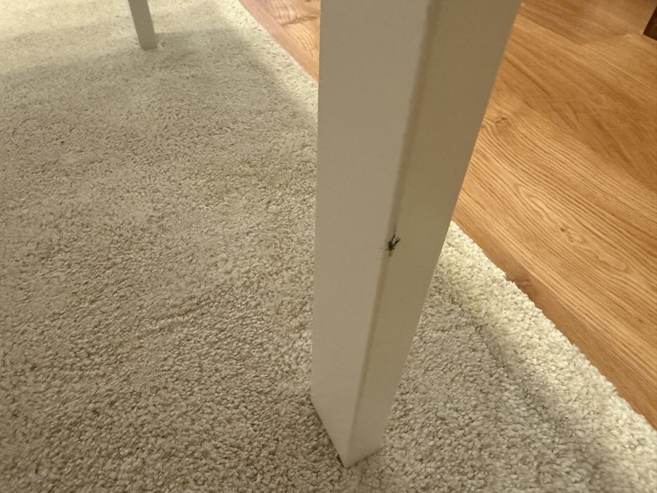 Vangsta ikea stół rozkładany 80/120cm x 70cm, stan niemal idealny