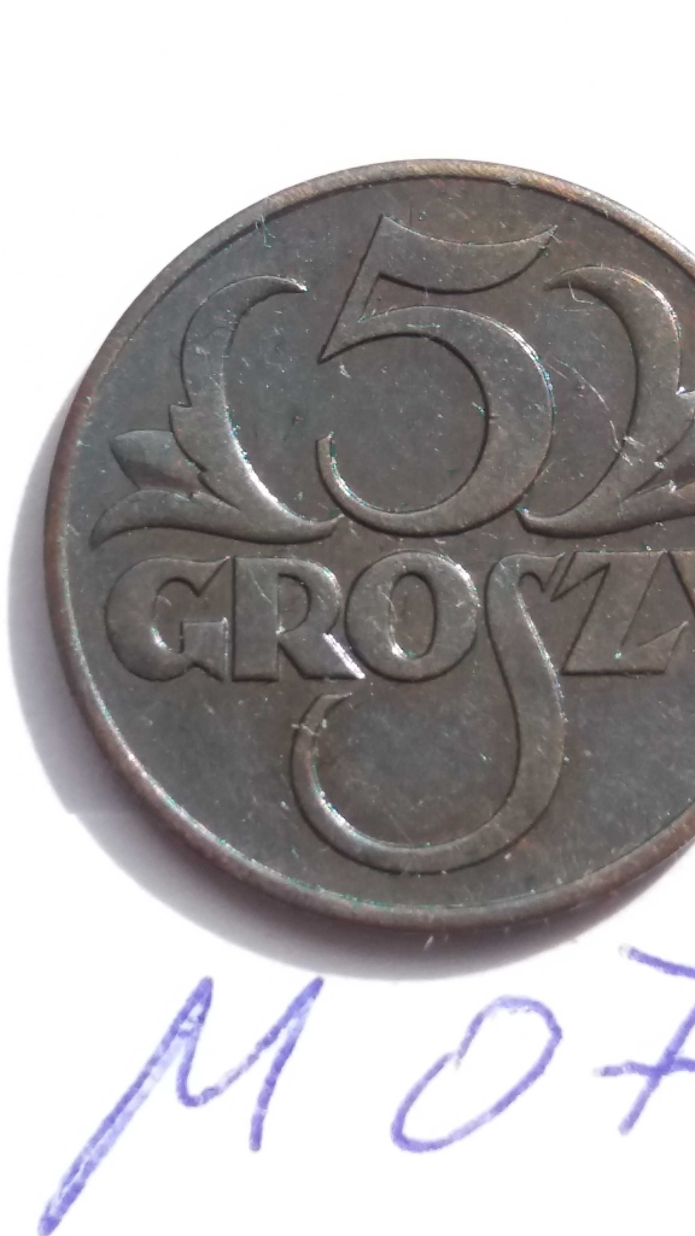 DS M079 stara moneta 5 gr groszy 1938 Polska starocie wyprzedaż