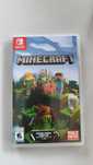 Minecraft Nintendo Switch