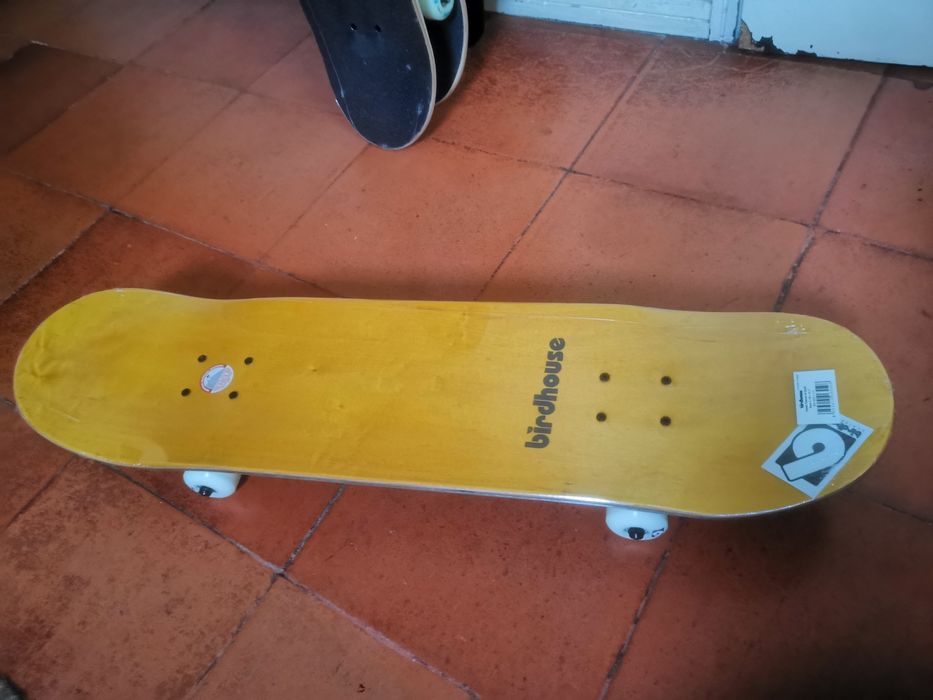 Skateboards novos Birdhouse, Santa Cruz, Tony Hawk, etc