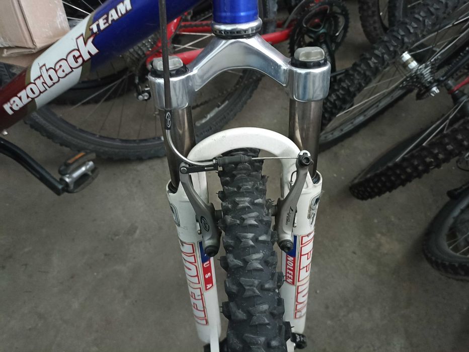 RAZORBACK K2 Noleen,xtr,avid