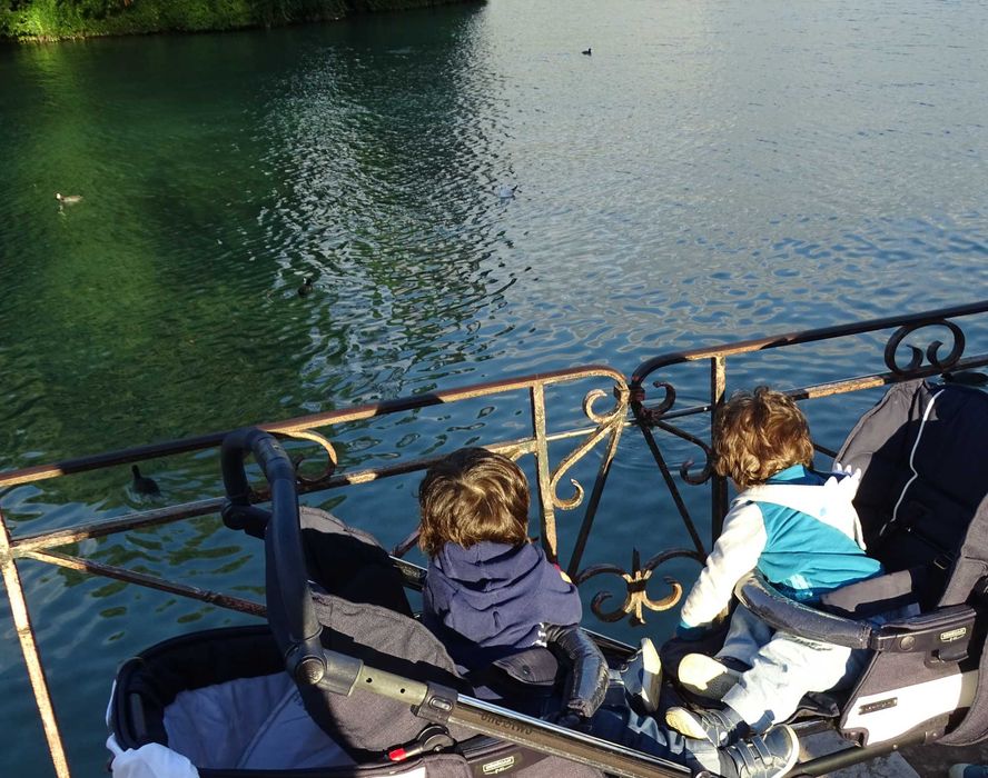 Carrinho de gémeos Bébécar (com ovos/cadeiras/alcofas/bases isofix)