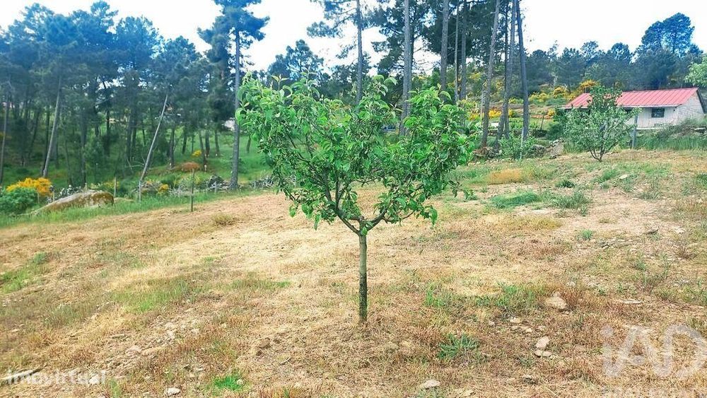 Terreno em São Lourenço de Ribapinhão de 14250,00 m2