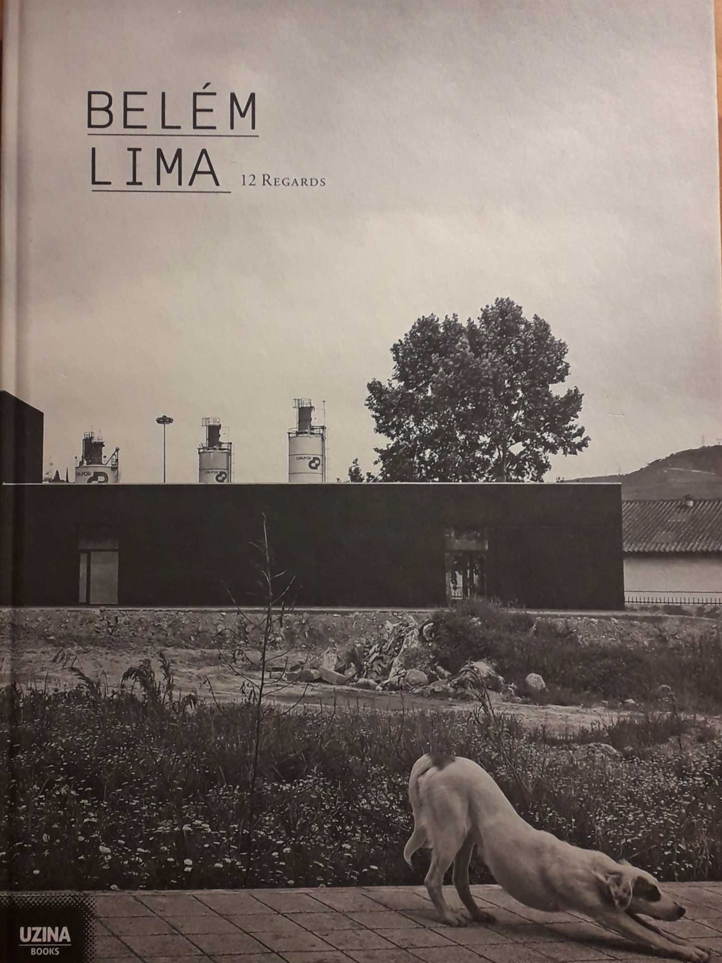 Livro - 12 Regards - António Belém Lima