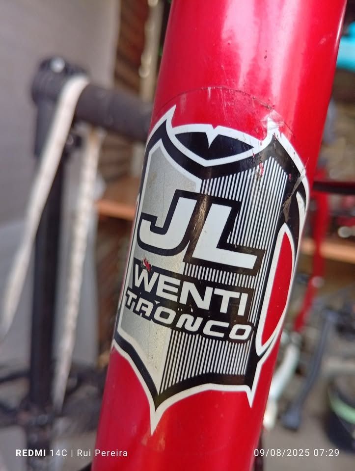 Bicicleta Jl-Wenti Tronco
