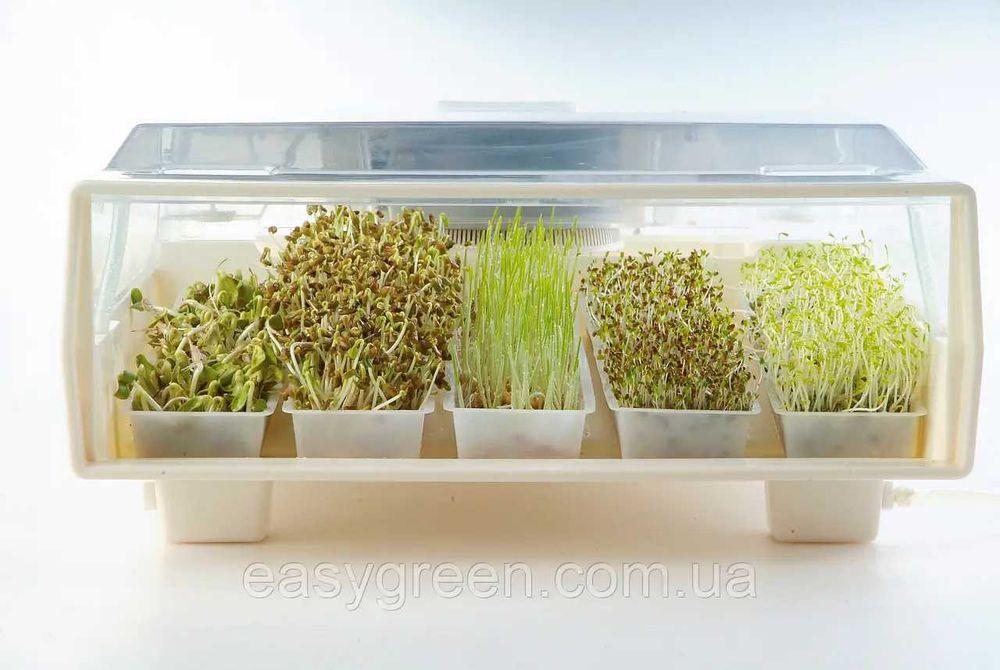Проращиватель. Пророщувач EasyGreen Mikrofarm