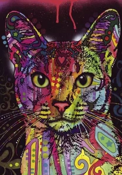 Puzzle 2000 elementów. Kot abisyński. Heye