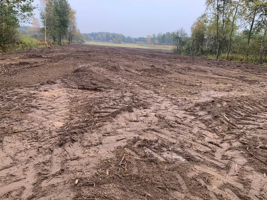 Karczowanie, oczyszczanie działek, usługi mulczer leśny, Wycinka drzew