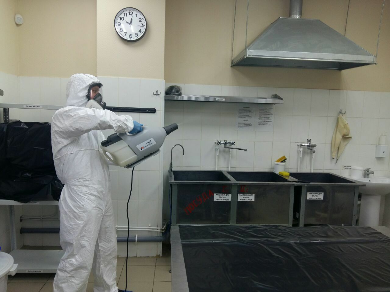 Травля, уничтожение насекомых, Дератизация, Дезинфекция Днепр