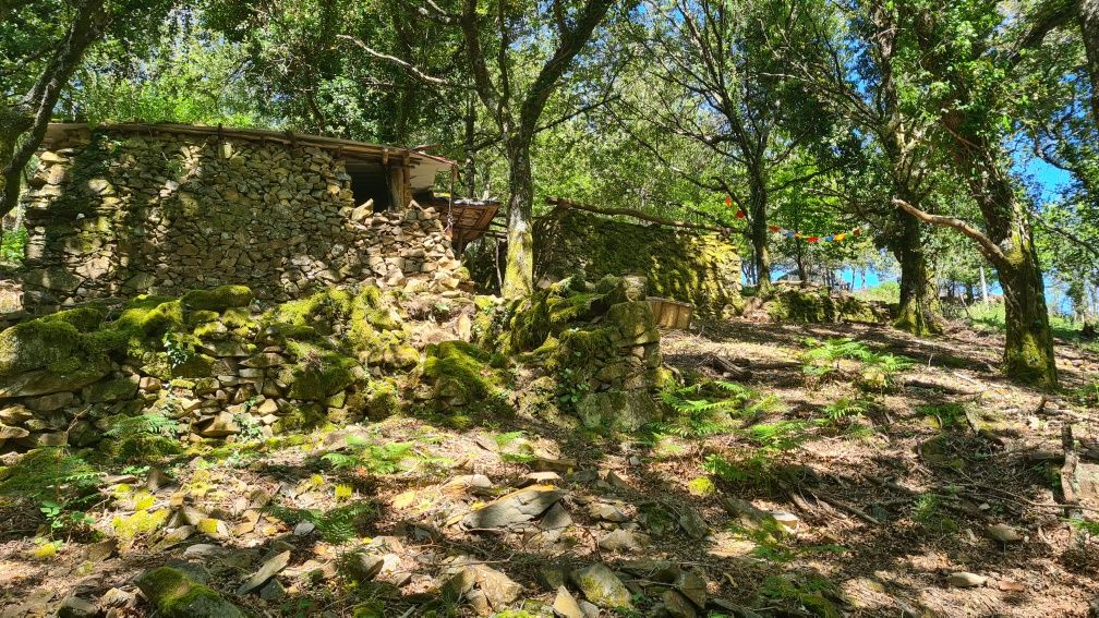 Terreno com várias ruínas na Serra de Lousã
