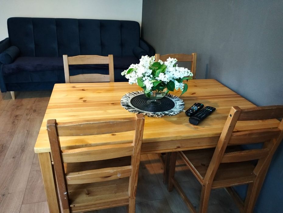 Noclegi Bieszczady Apartament Ustrzyki Dolne domek pokoje  Bieszczady
