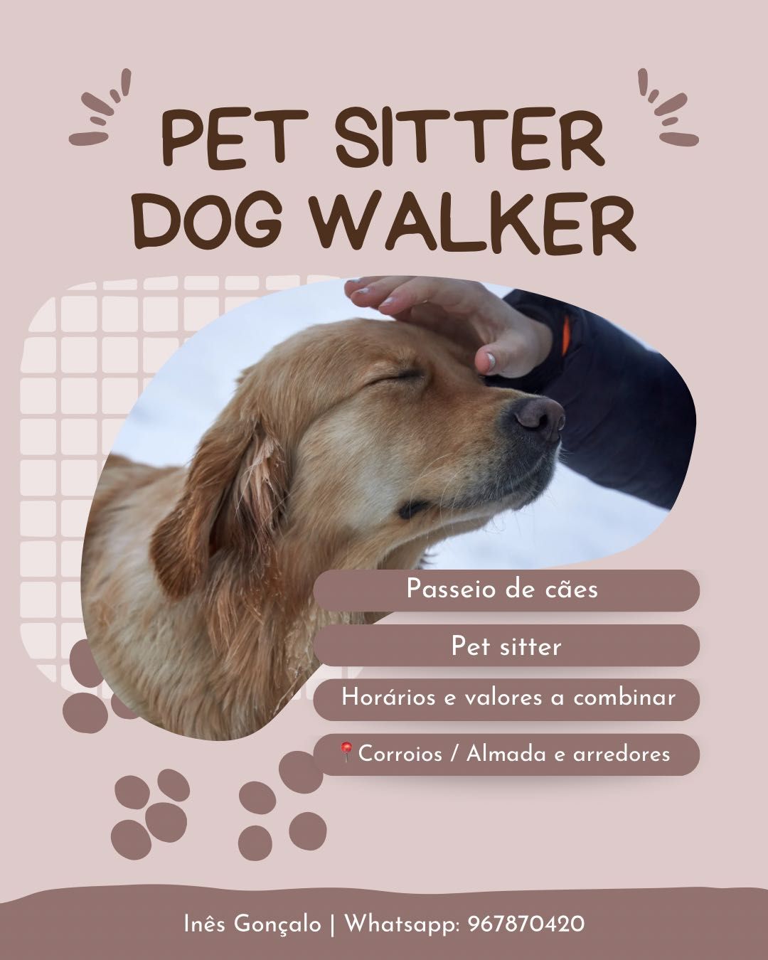 Faço passeios de cães e Pet sitting na zona de Corroios / Almada