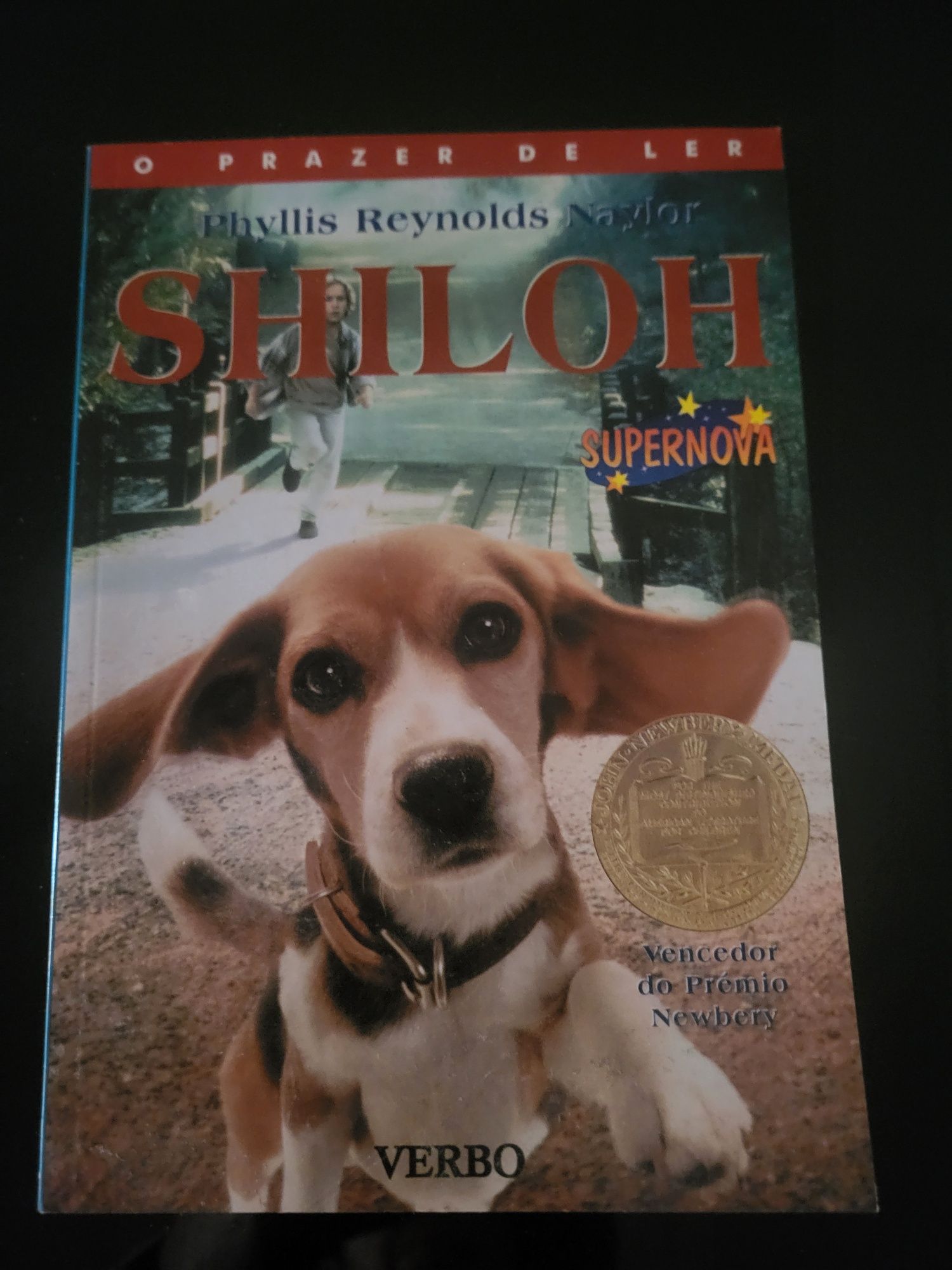 Livro   "Shiloh"