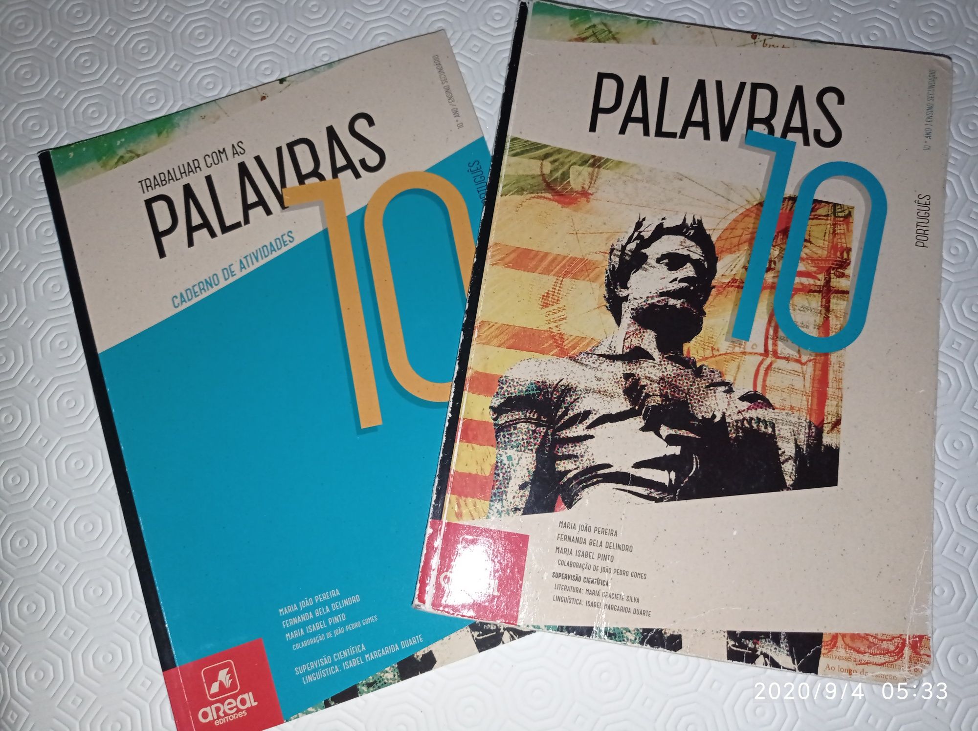 Palavras 10 - 10º Ano com Portes incluídos