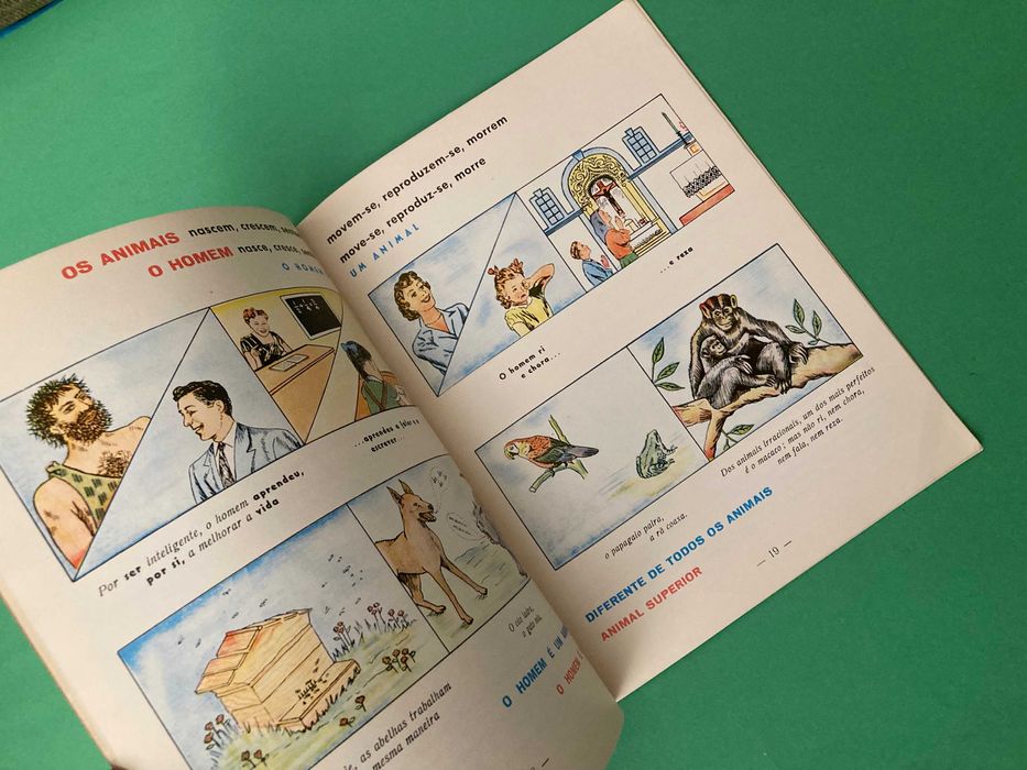 Livro Escolar Ciências Naturais Porto Editora Anos 60