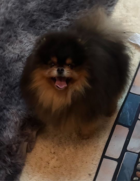 Супер красень чекае дам